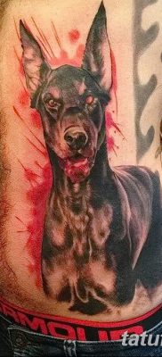صورة وشم دوبيرمان بتاريخ 18/08/2017 №040 - وشم دوبيرمان