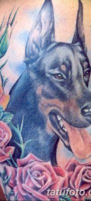 صورة وشم دوبيرمان بتاريخ 18/08/2017 №041 - وشم دوبيرمان