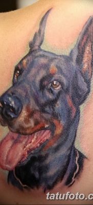 صورة وشم دوبيرمان بتاريخ 18/08/2017 №042 - وشم دوبيرمان