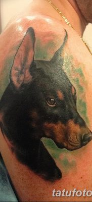 صورة وشم دوبيرمان بتاريخ 18/08/2017 №043 - وشم دوبيرمان