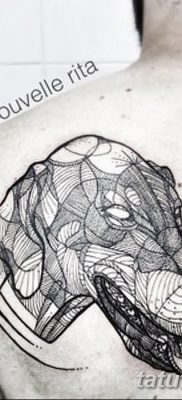 صورة وشم دوبيرمان بتاريخ 18/08/2017 №050 - وشم دوبيرمان