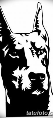 صورة وشم دوبيرمان بتاريخ 18/08/2017 №052 - وشم دوبيرمان