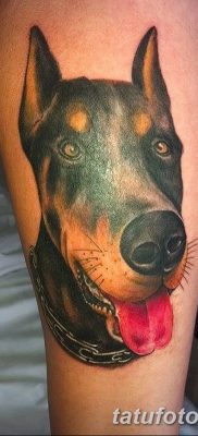 صورة وشم دوبيرمان بتاريخ 18/08/2017 №053 - وشم دوبيرمان