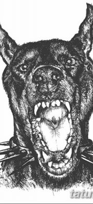 صورة وشم دوبيرمان بتاريخ 18/08/2017 №054 - وشم دوبيرمان