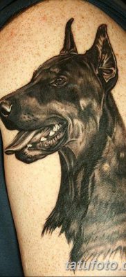 صورة وشم دوبيرمان بتاريخ 18/08/2017 №062 - وشم دوبيرمان