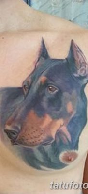 صورة وشم دوبيرمان بتاريخ 18/08/2017 №063 - وشم دوبيرمان