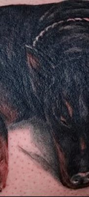 صورة وشم دوبيرمان بتاريخ 18/08/2017 №067 - وشم دوبيرمان