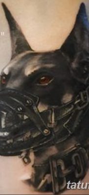 صورة وشم دوبيرمان بتاريخ 18/08/2017 №068 - وشم دوبيرمان