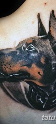 صورة وشم دوبيرمان بتاريخ 18/08/2017 №069 - وشم دوبيرمان