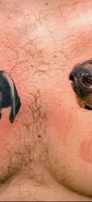 صورة وشم دوبيرمان بتاريخ 18/08/2017 №070 - وشم دوبيرمان