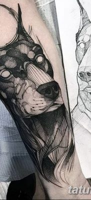 صورة وشم دوبيرمان بتاريخ 18/08/2017 №072 - وشم دوبيرمان