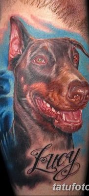 صورة وشم دوبيرمان بتاريخ 18/08/2017 №075 - وشم دوبيرمان