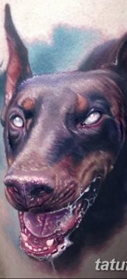 صورة وشم دوبيرمان بتاريخ 18/08/2017 №076 - وشم دوبيرمان