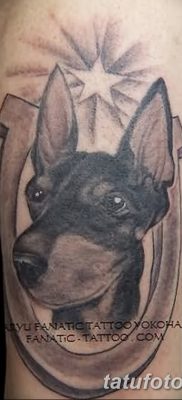 صورة وشم دوبيرمان بتاريخ 18/08/2017 №077 - وشم دوبيرمان