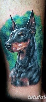 صورة وشم دوبيرمان بتاريخ 18/08/2017 №078 - وشم دوبيرمان