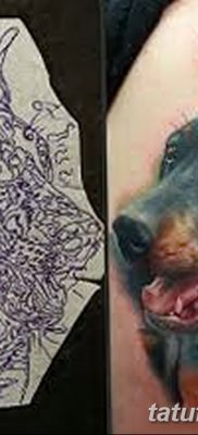 صورة وشم دوبيرمان بتاريخ 18/08/2017 №080 - وشم دوبيرمان