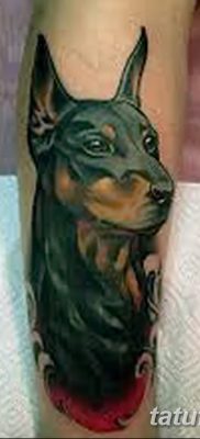 صورة وشم دوبيرمان بتاريخ 18/08/2017 №084 - وشم دوبيرمان
