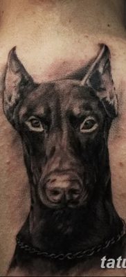 صورة وشم دوبيرمان بتاريخ 18/08/2017 №093 - وشم دوبيرمان