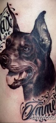 صورة وشم دوبيرمان بتاريخ 18/08/2017 №094 - وشم دوبيرمان