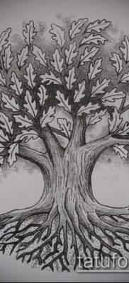 снимка на дъб за татуировка (дъб за татуировки) (стойност) - примерна рисунка - 063