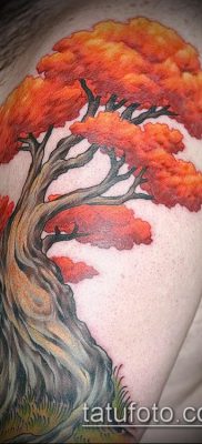 снимка татуировка дъб (татуировка дъб) (стойност) - примерна рисунка - 059