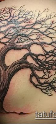 снимка на дъб за татуировка (дъб за татуировки) (стойност) - примерна рисунка - 058