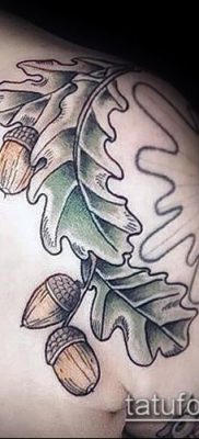 снимка татуировка дъб (татуировка дъб) (стойност) - примерна рисунка - 051