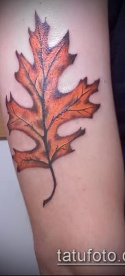 снимка татуировка дъб (татуировка дъб) (стойност) - примерна рисунка - 047