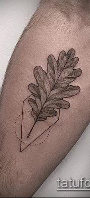 снимка татуировка дъб (татуировка дъб) (стойност) - примерна рисунка - 046