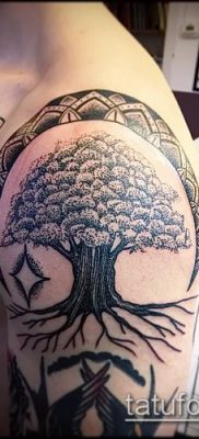 снимка татуировка дъб (татуировка дъб) (стойност) - примерна рисунка - 031