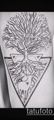 снимка дъб за татуировка (дъб за татуировки) (стойност) - примерна рисунка - 030