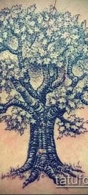 снимка дъб за татуировка (дъб за татуировки) (стойност) - примерна рисунка - 024