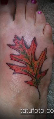 снимка дъб за татуировка (дъб за татуировки) (стойност) - примерна рисунка - 020