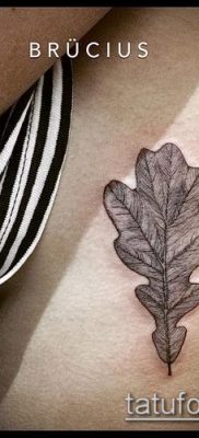 снимка татуировка дъб (татуировка дъб) (стойност) - примерна рисунка - 019