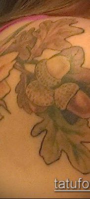 снимка татуировка дъб (татуировка дъб) (стойност) - примерна рисунка - 015