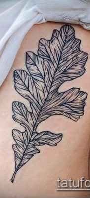 снимка татуировка дъб (татуировка дъб) (стойност) - примерна рисунка - 014