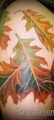 снимка дъб за татуировка (дъб за татуировки) (стойност) - примерна рисунка - 009