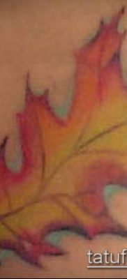 tölgyfa levelek tetoválás száma 709 - a minta érdekes változata, amely jól használható felülvizsgálathoz és tetováláshoz tölgyfalevélként