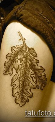 tölgyfalevél 918 -as számú tetoválás - a minta hűvös változata, amely sikeresen használható a tölgyfalevélhez hasonló tetoválás megváltoztatására és alkalmazására