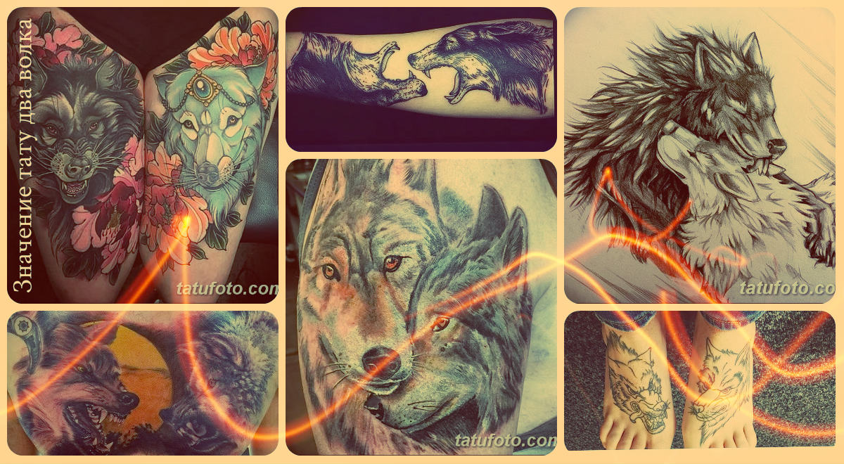 A két farkas tetoválásának jelentése - fotó a tetoválásról a testen - példák
