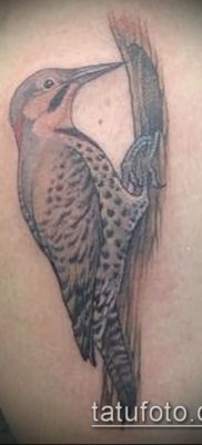 harkály tetoválás fotó (jelentése) - egy példa egy érdekes tetoválási rajzra - 040