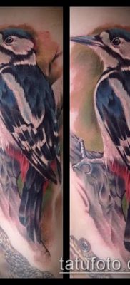 harkály tetoválás fotó (jelentése) - egy példa egy érdekes tetoválási rajzra - 039