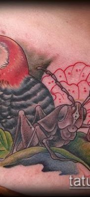 harkály tetoválás fotó (jelentése) - egy példa egy érdekes tetoválásrajzra - 037