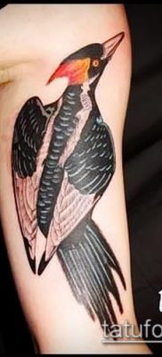 harkály tetoválás fotó (jelentése) - egy példa egy érdekes tetoválási rajzra - 035