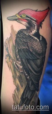 harkály tetoválás fotó (jelentése) - egy példa egy érdekes tetoválási tervre - 021