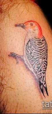 harkály tetoválás fotó (jelentése) - egy példa egy érdekes tetoválási rajzra - 020