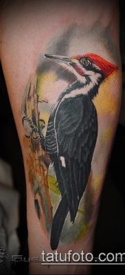 harkály tetoválás fotó (jelentése) - egy példa egy érdekes tetoválási rajzra - 016