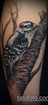 harkály tetoválás fotó (jelentése) - egy példa egy érdekes tetoválási rajzra - 013