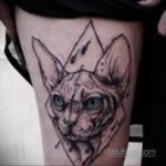 Египетска котка татуировка 18.11.2019 №119 -Египетска котка татуировка-