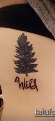 صورة وشم شجرة التنوب (وشم شجرة التنوب) (قيمة) - مثال الرسم - 088